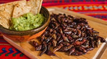 Unusual Mexican Food to Try When You Visit