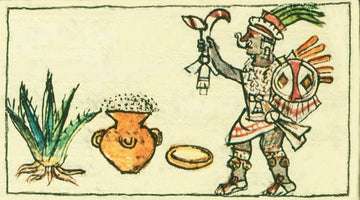 The Microbiome in a Clay Jar: Why Pulque & Tepache Deserve a Spot in Your Gut-Health Routine